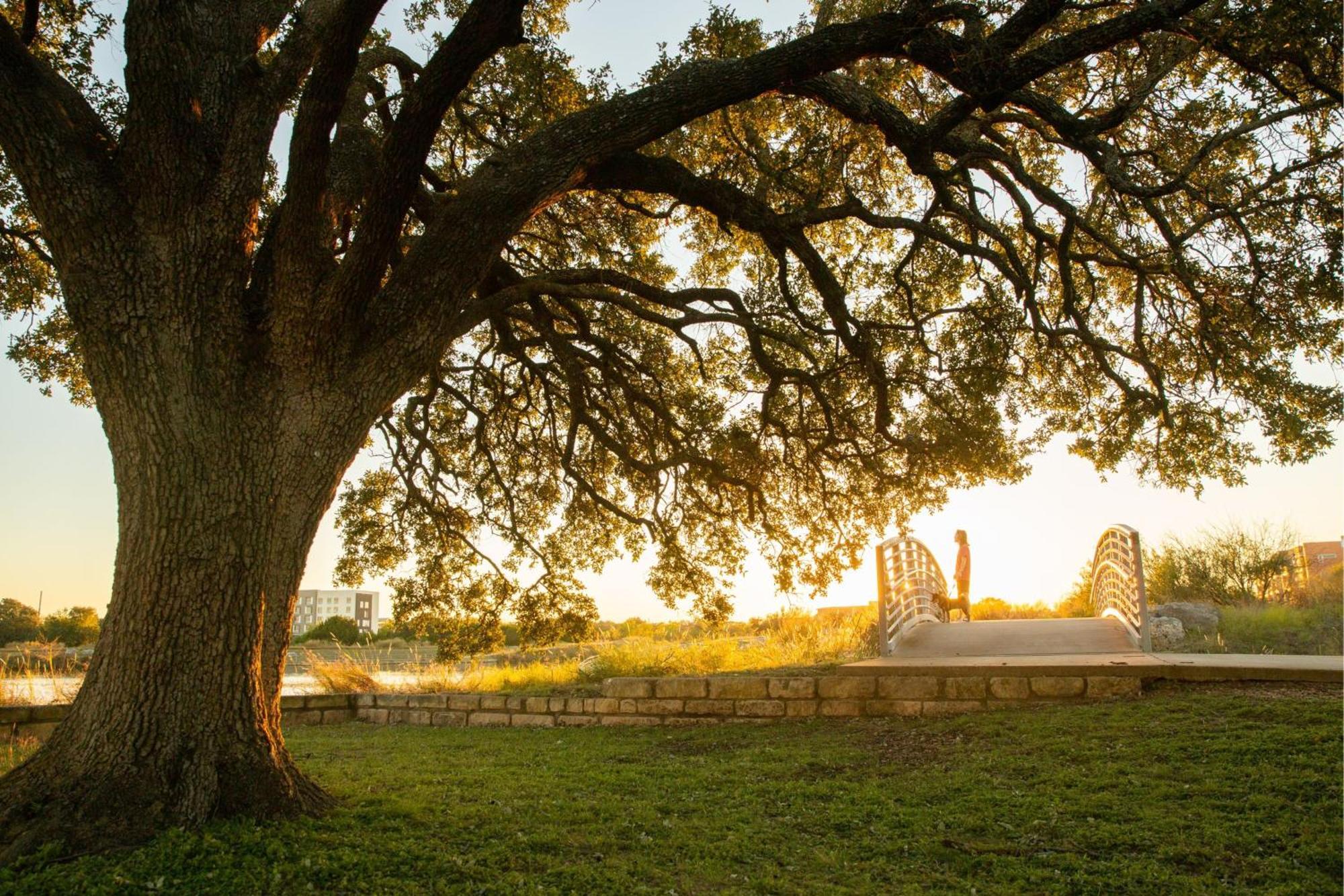 Springhill Suites By Marriott Austin Cedar Park Eksteriør bilde